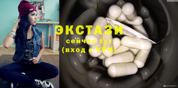 индика Арсеньев