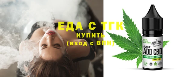 индика Арсеньев