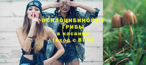 индика Арсеньев