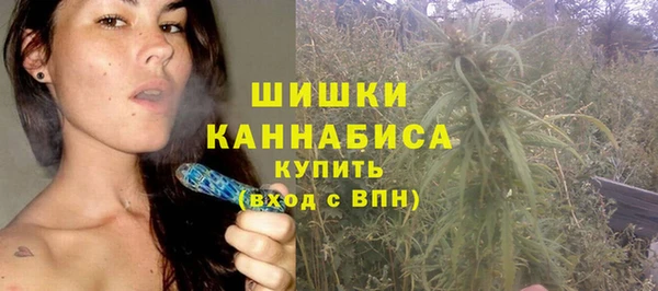 ешки Аркадак