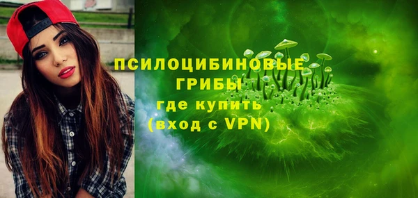 индика Арсеньев