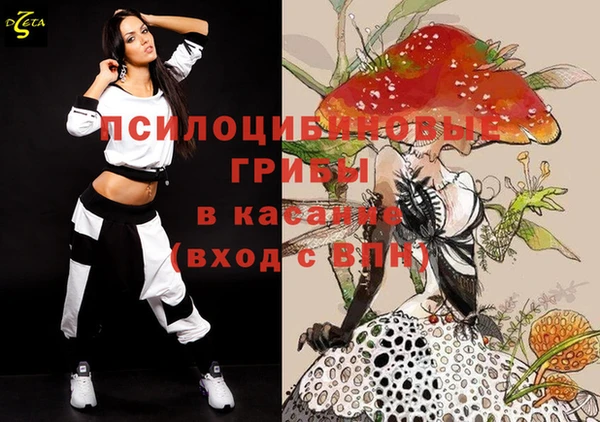 ешки Аркадак
