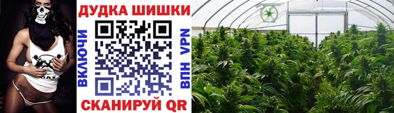 купить наркотики цена  Нягань  Бошки Шишки индика 
